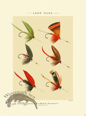 Favorite Flies 06 Lake